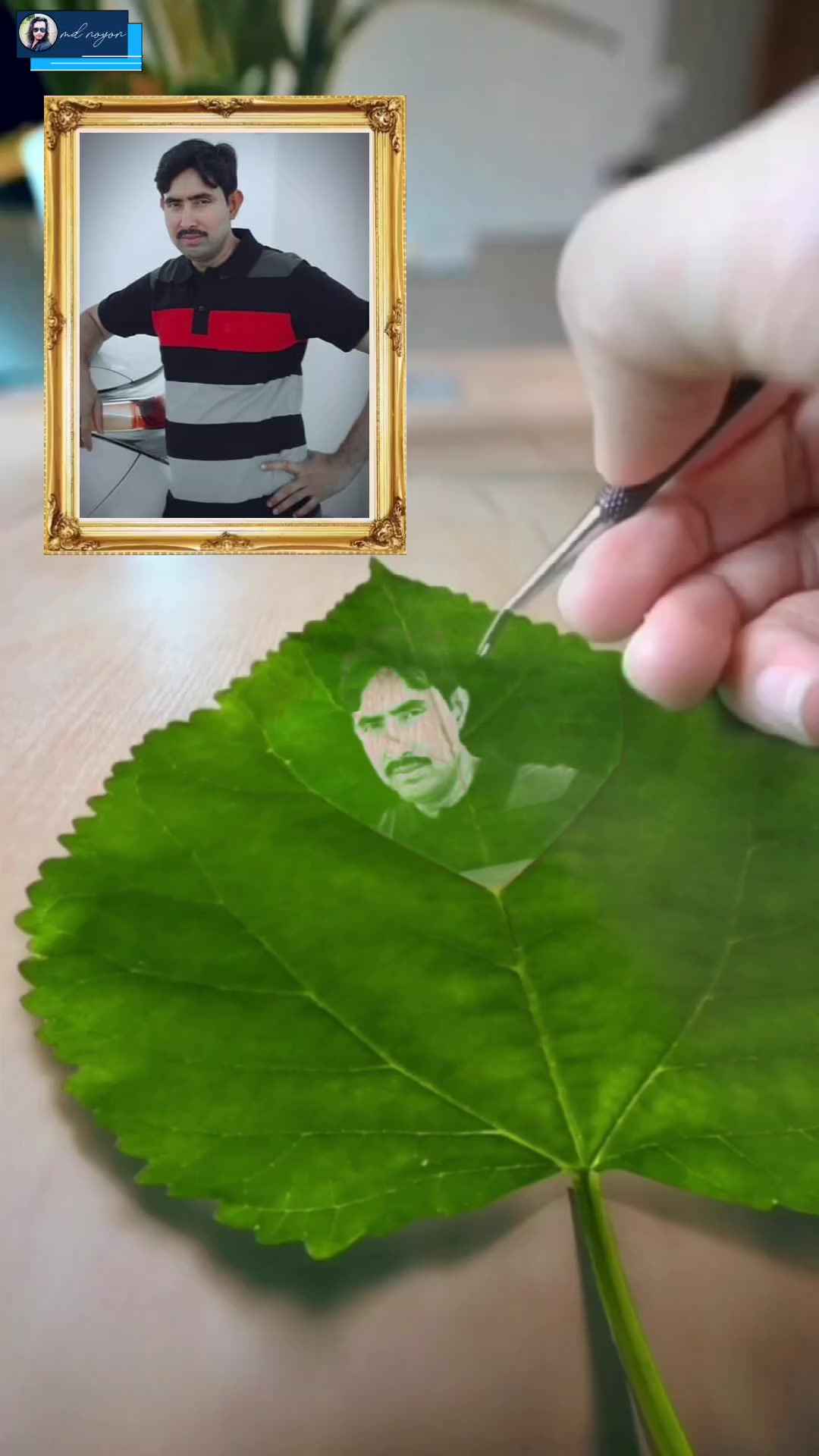 @Mizan Sikdar