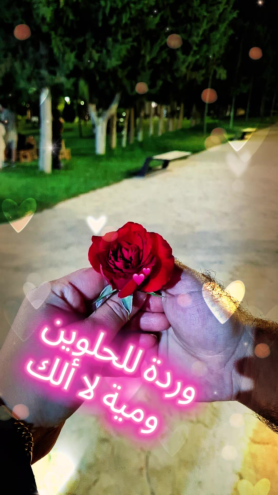 @سيرين الحامد