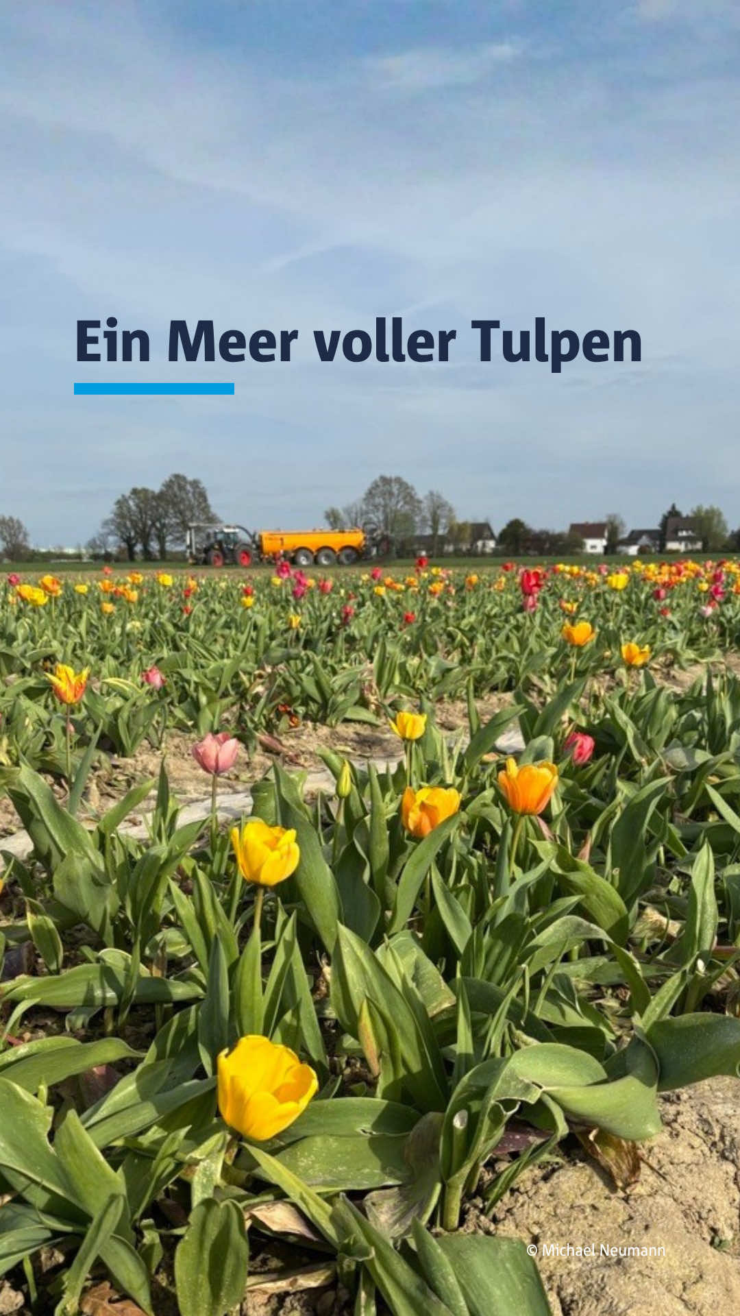 @Hellweger Anzeiger