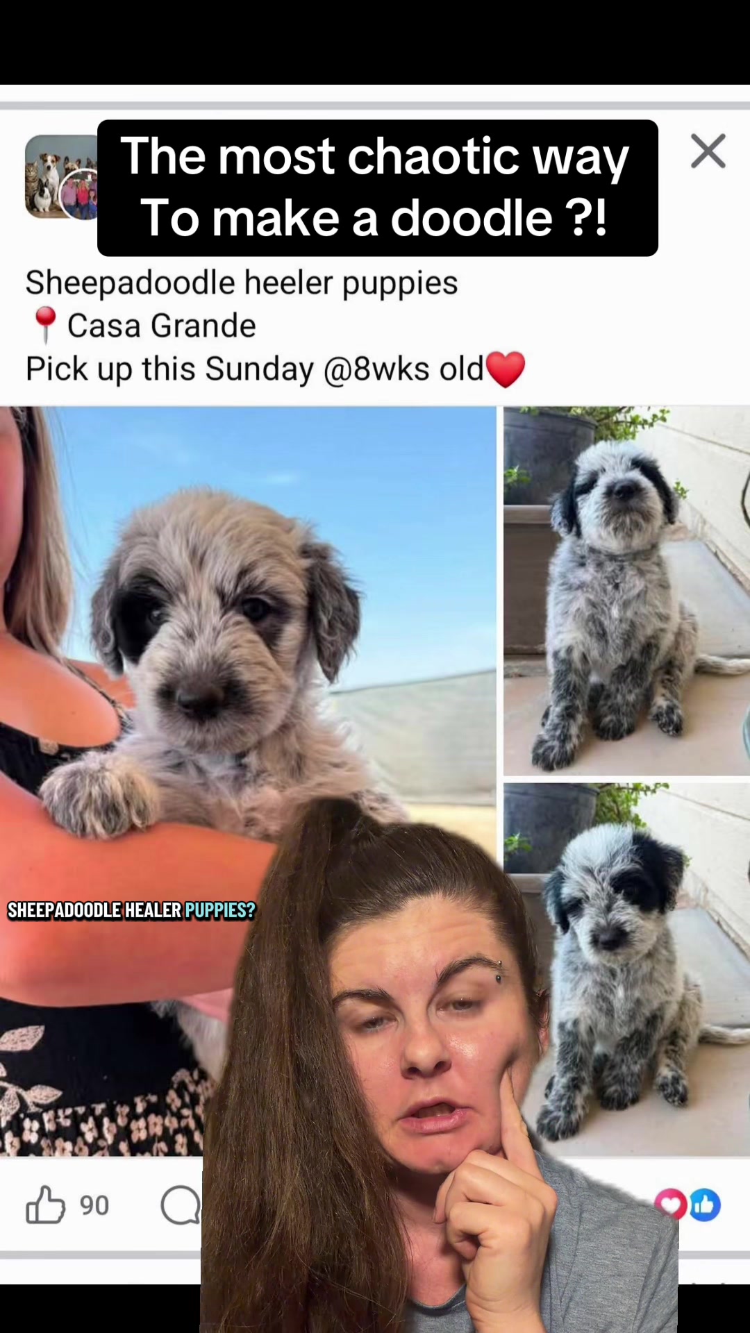 @Jess Shark🐾DOG PACK🐾