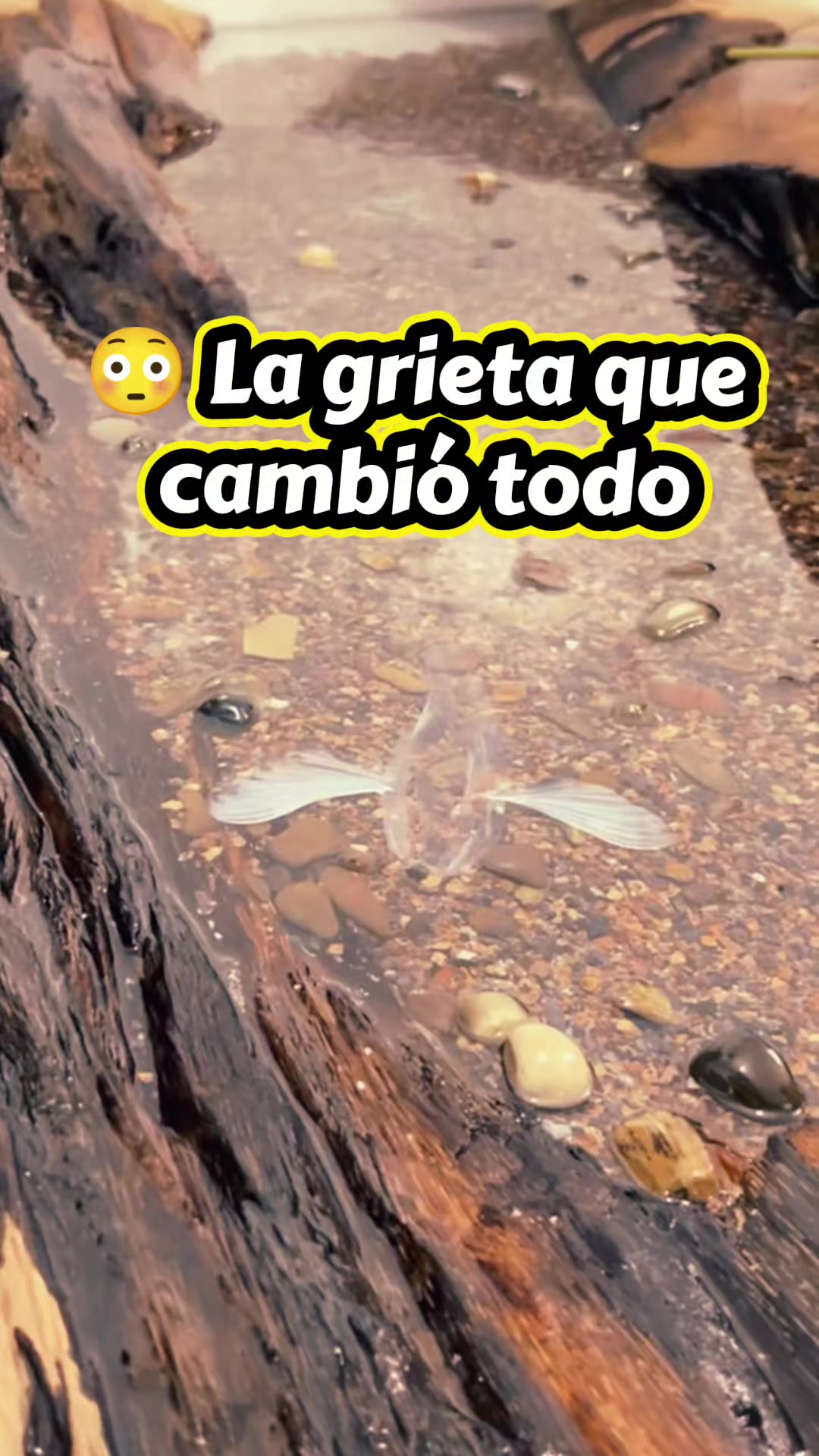 @Resineros Imparables