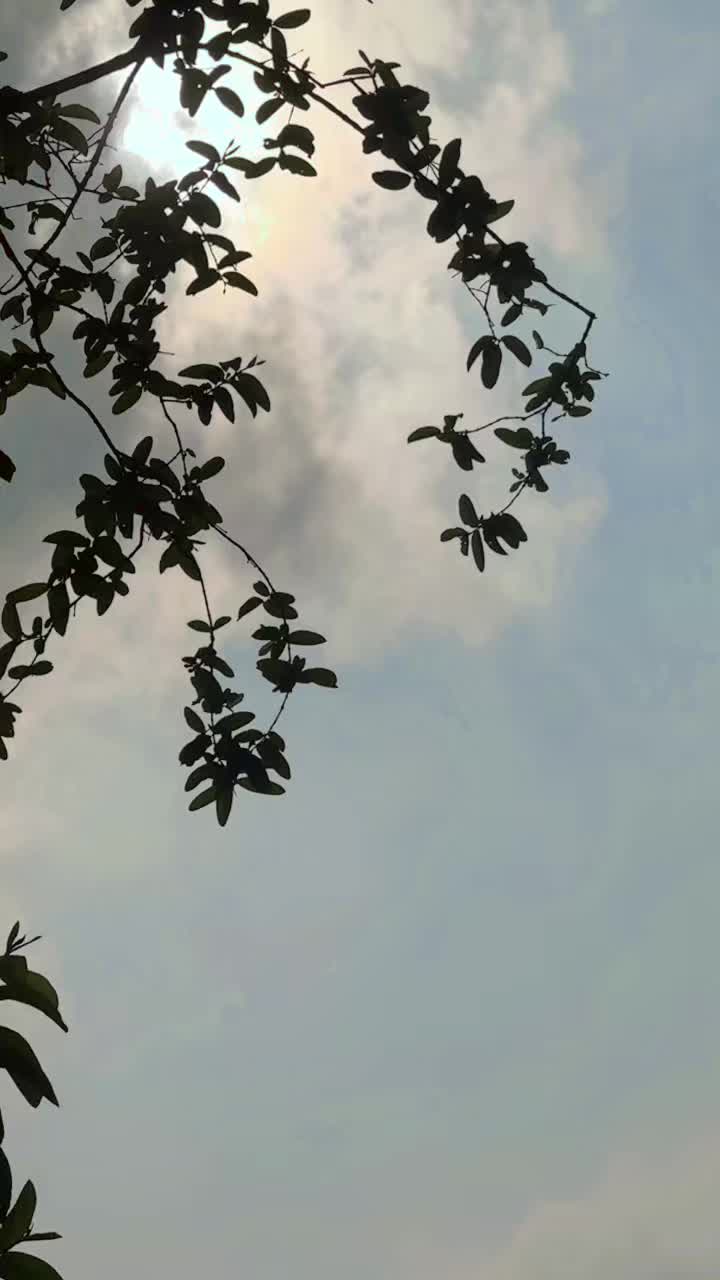 @Rekhadas268