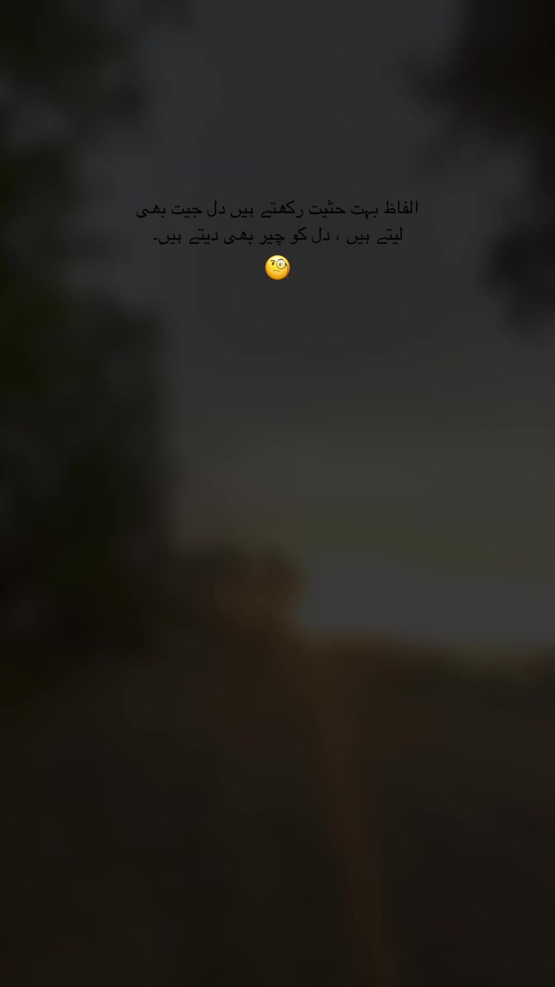 @zs125