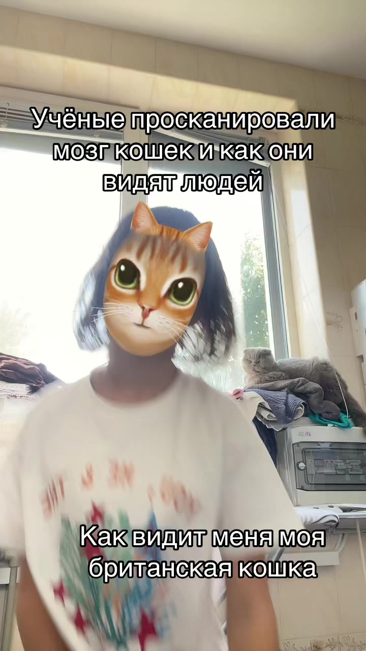 @Злая прокладка аяно