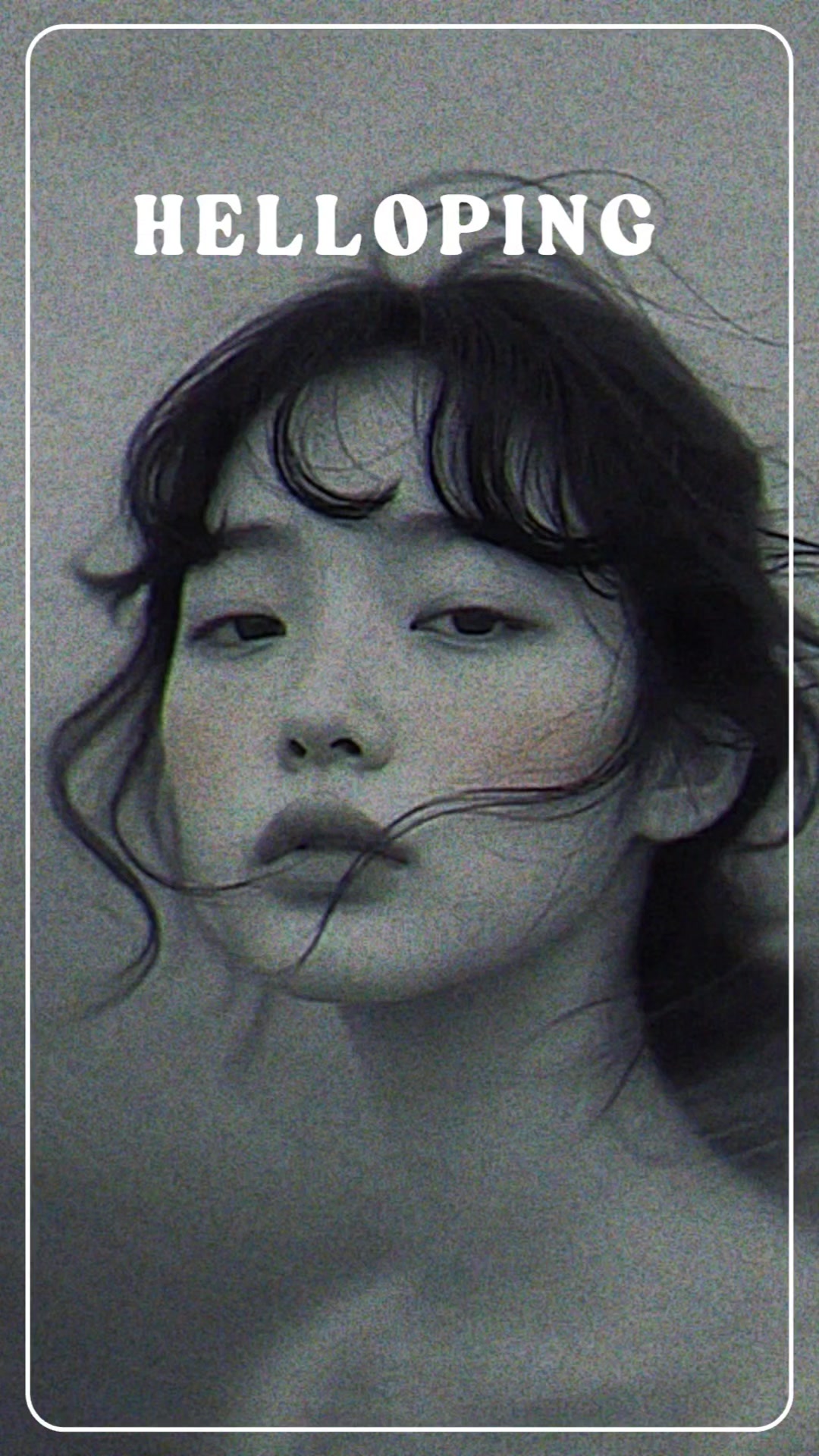 @๐ท HELLO PING ๐ท