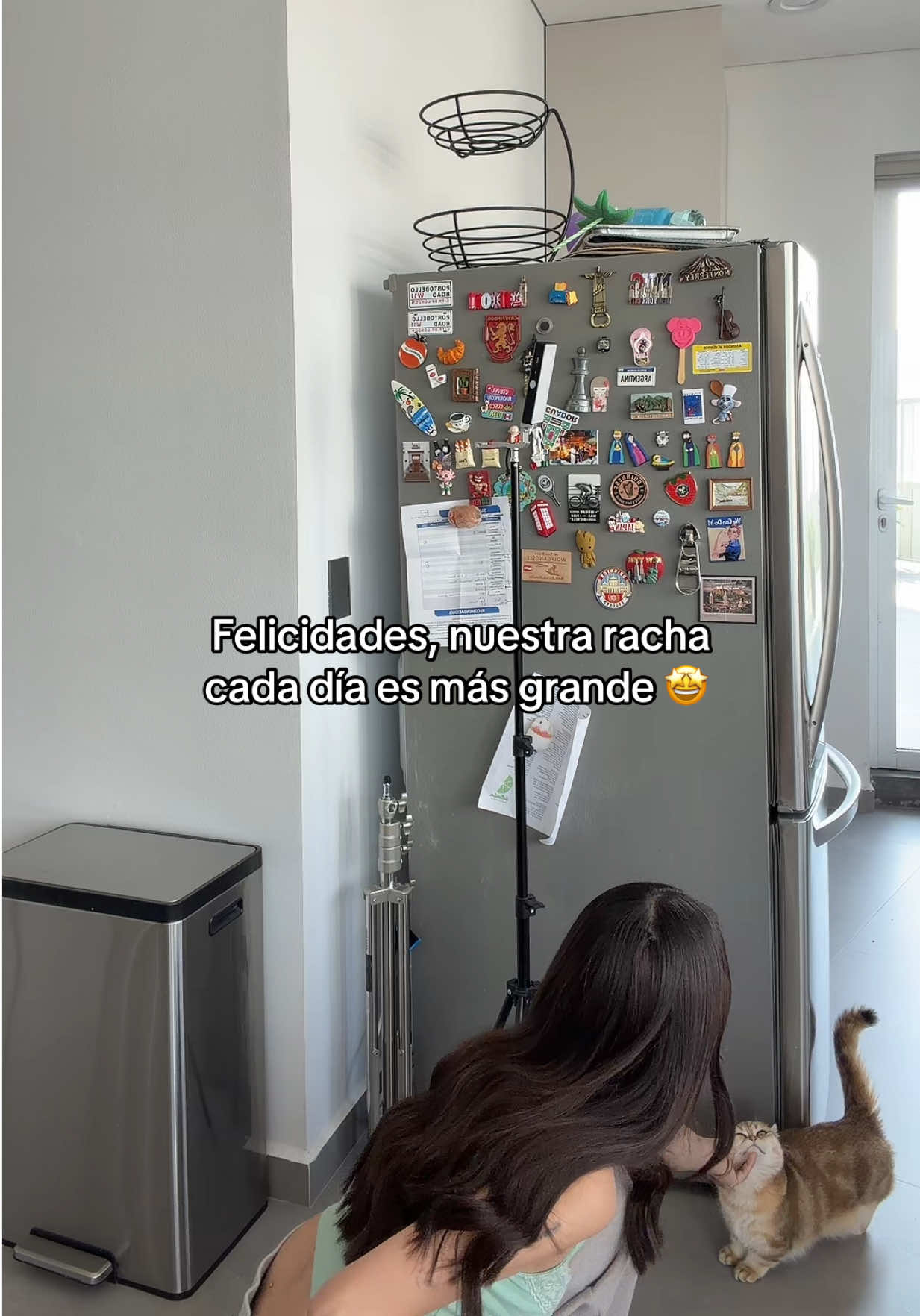 @domelipa