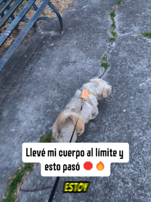 @AlexMu&ntilde;oz