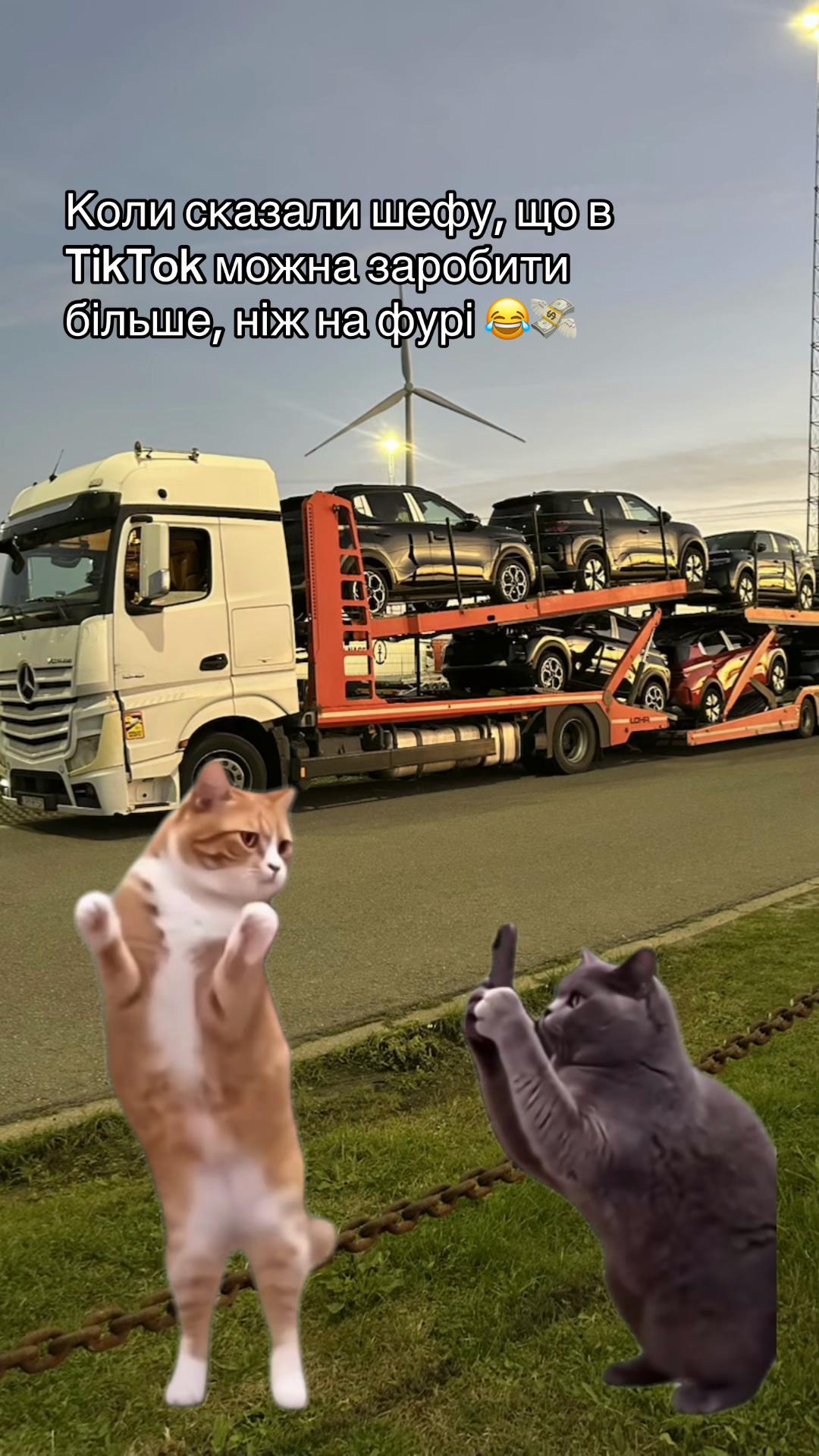 @vitalik_5