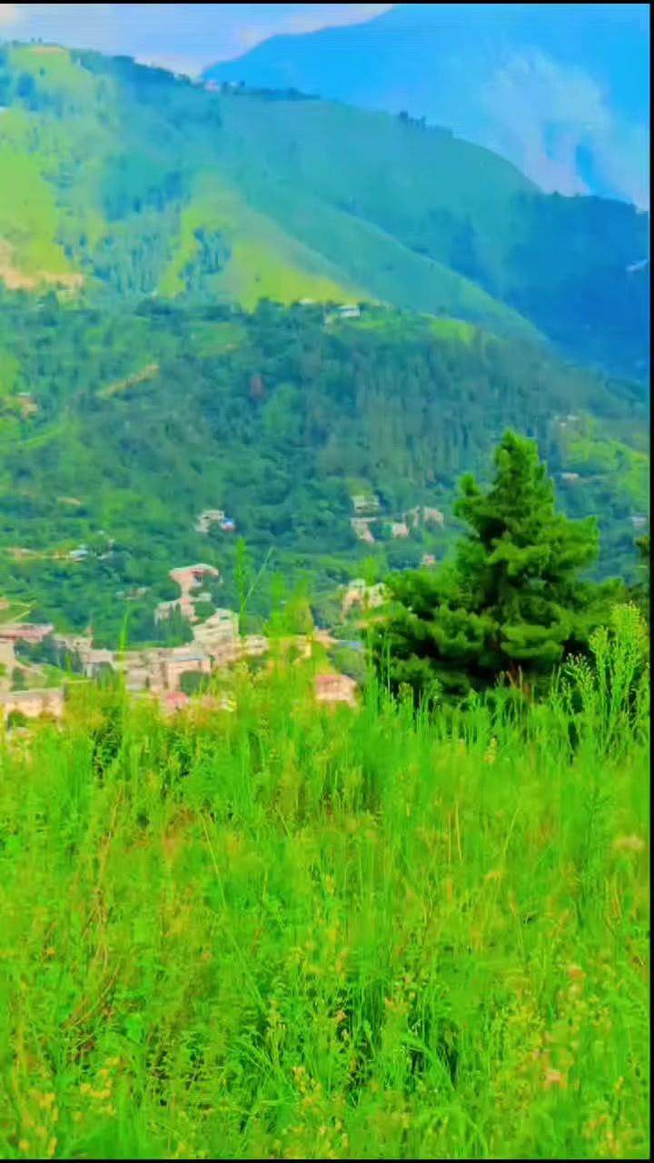 @WAQAR AHMAD ❤️love botany 🌴