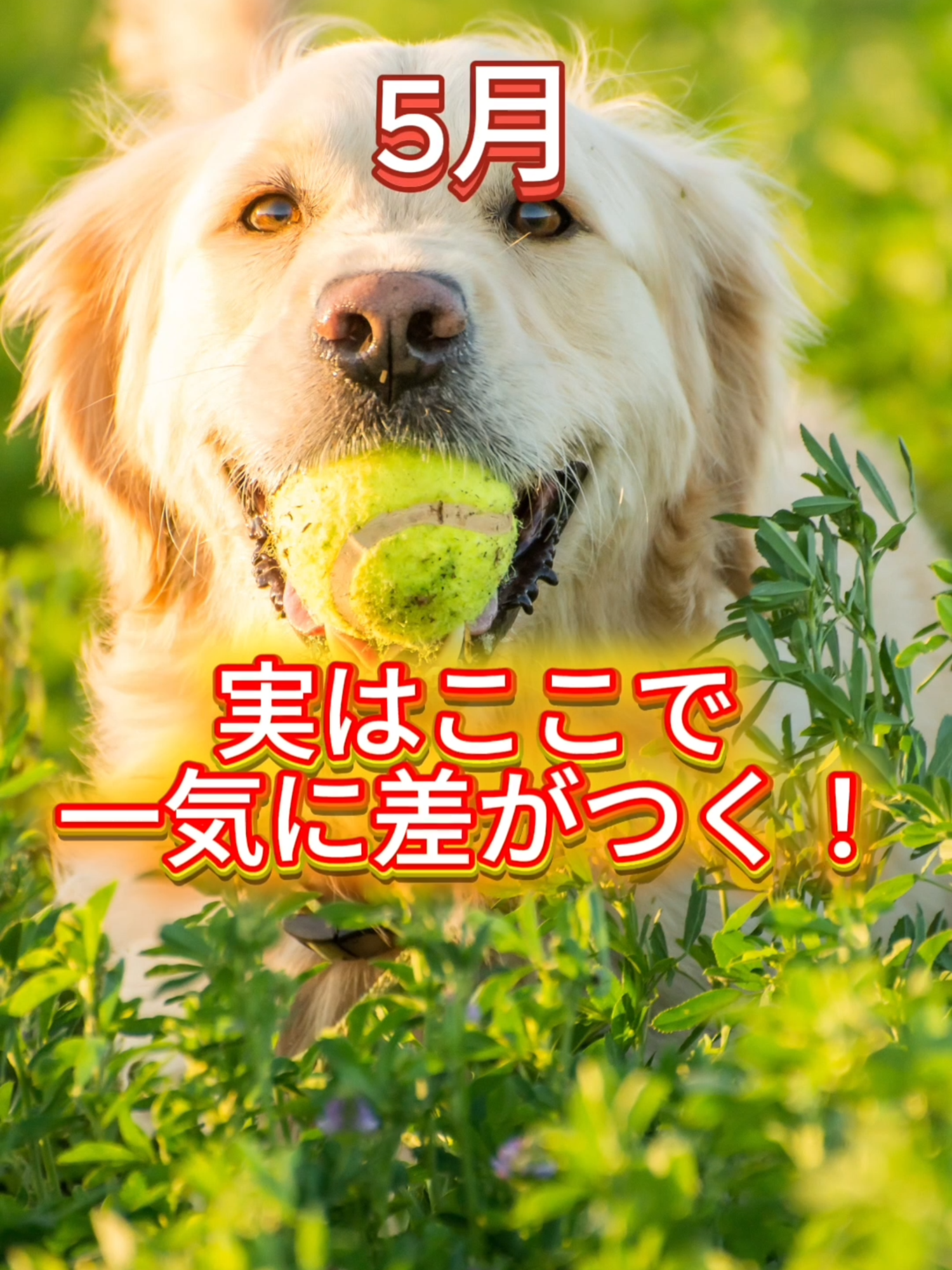 @家庭教師のIOI