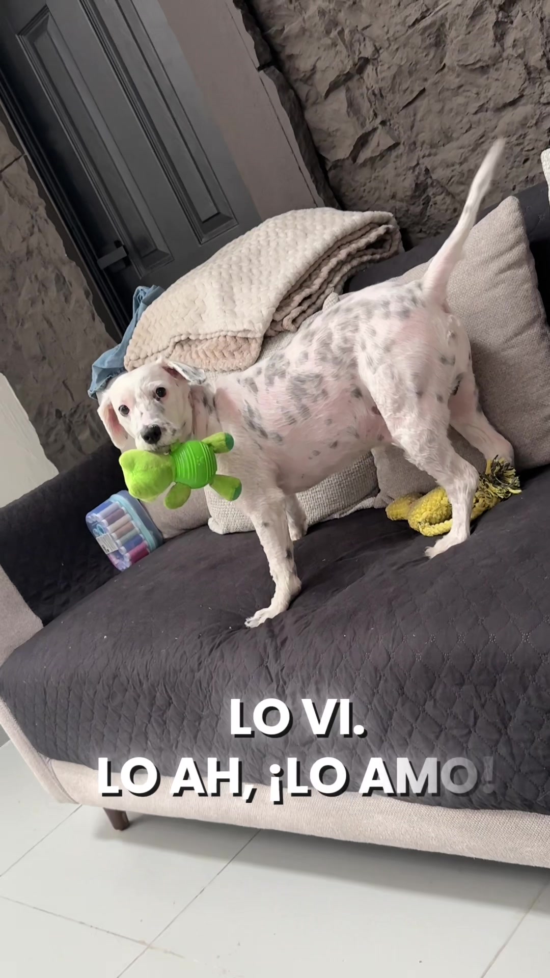 @Jazz G&oacute;mez