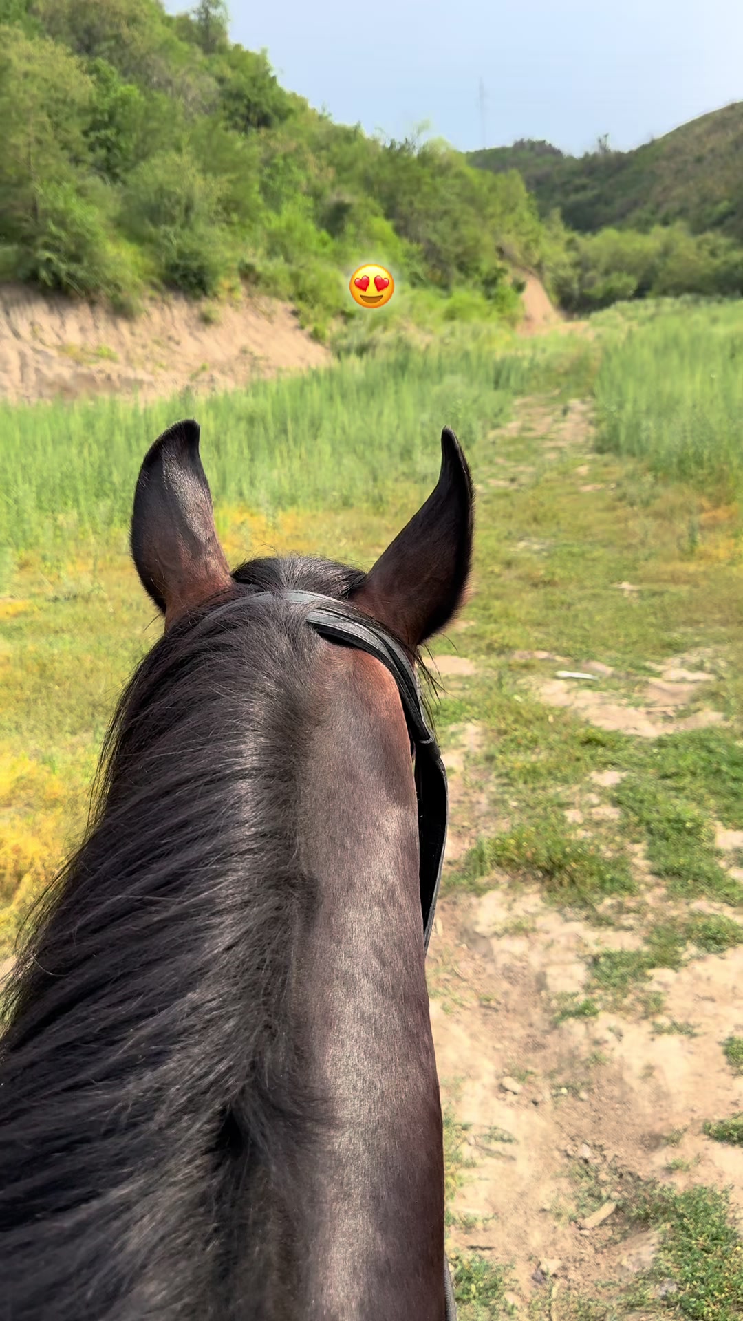 @🐎Ева🐎