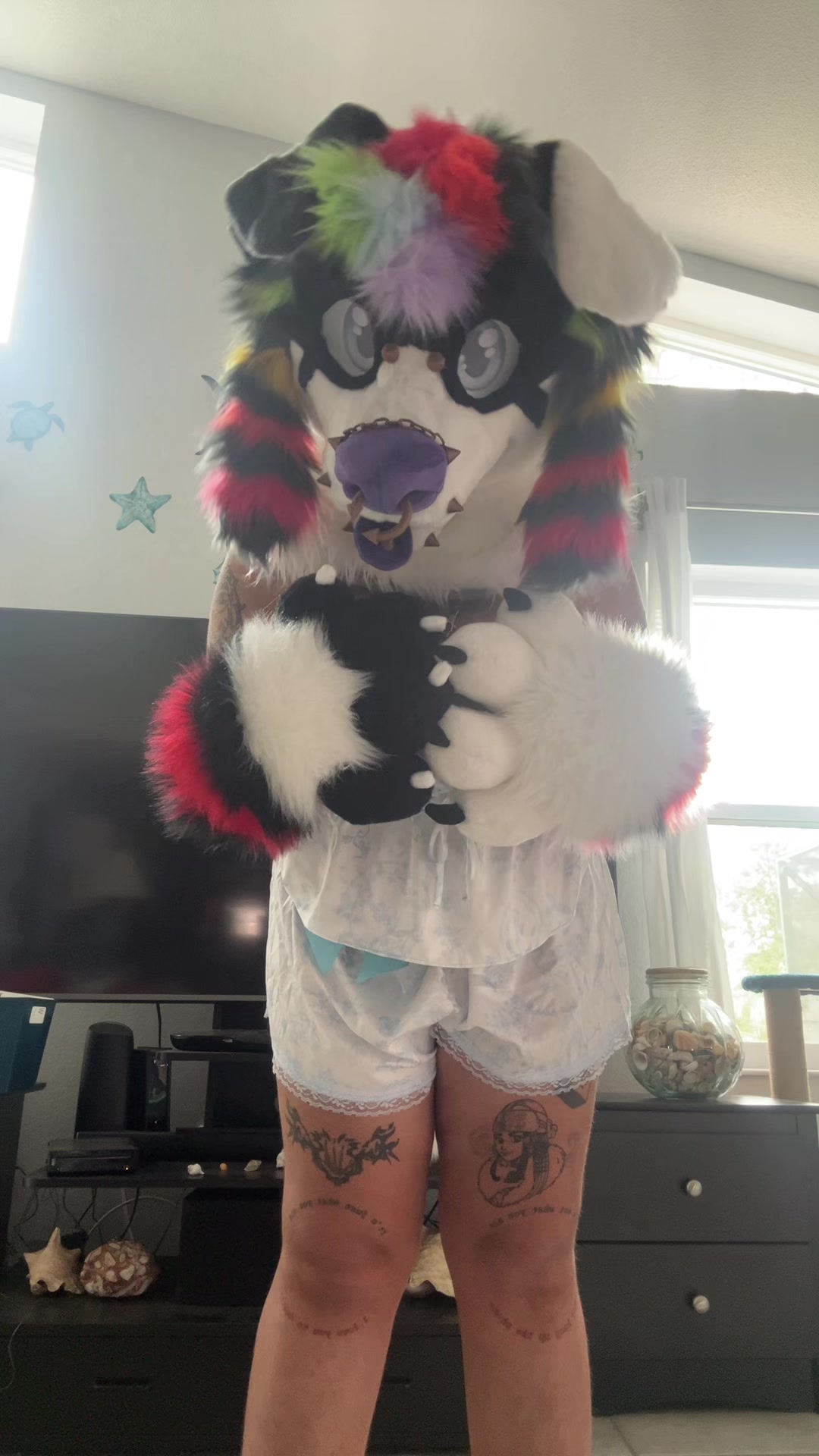 @🪽🌈 HOUND 🔜 MEGAPLEX 🐾