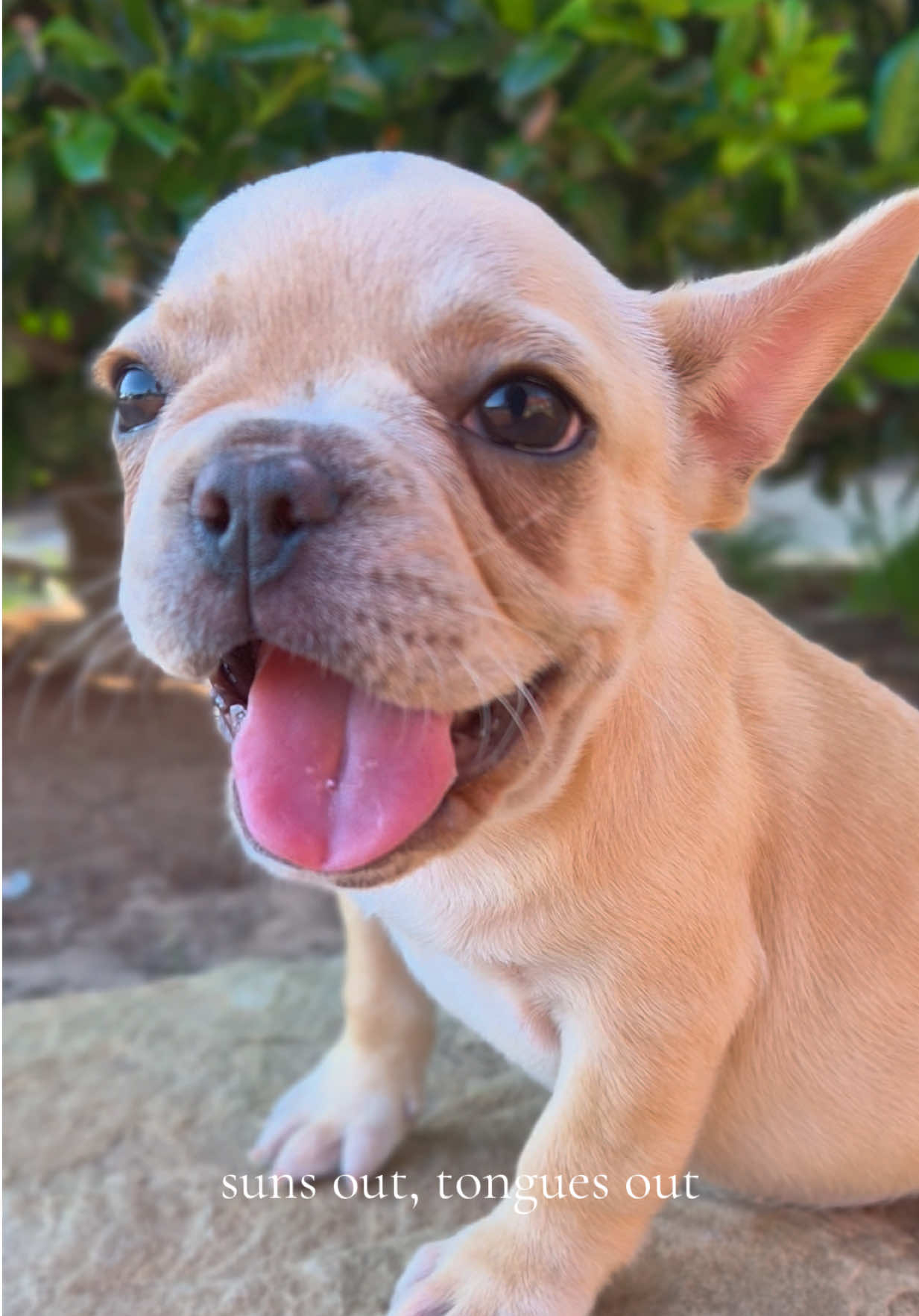 @Petland Oklahoma City