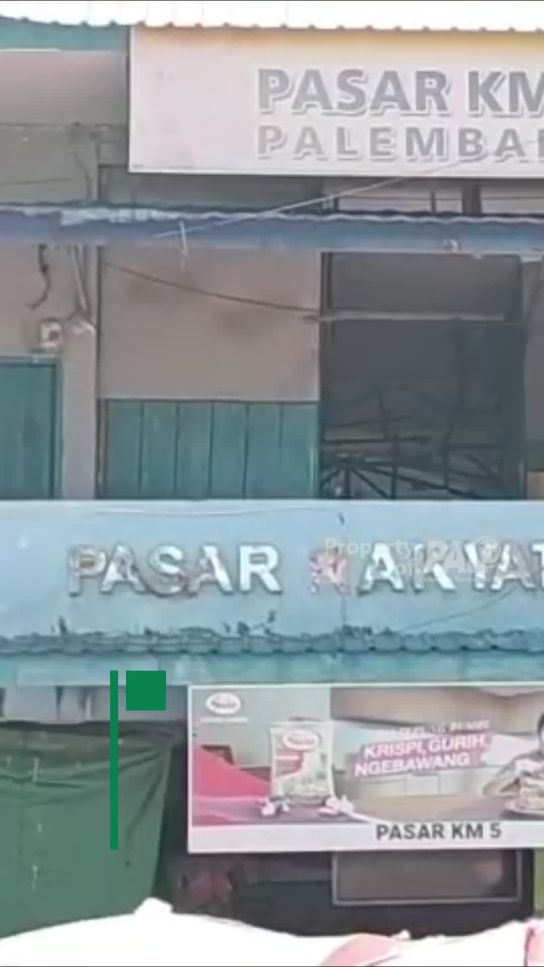 @Paltv-Memang Punyo Kito