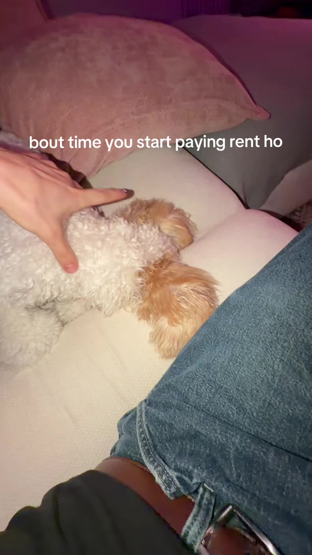 @joshpopp
