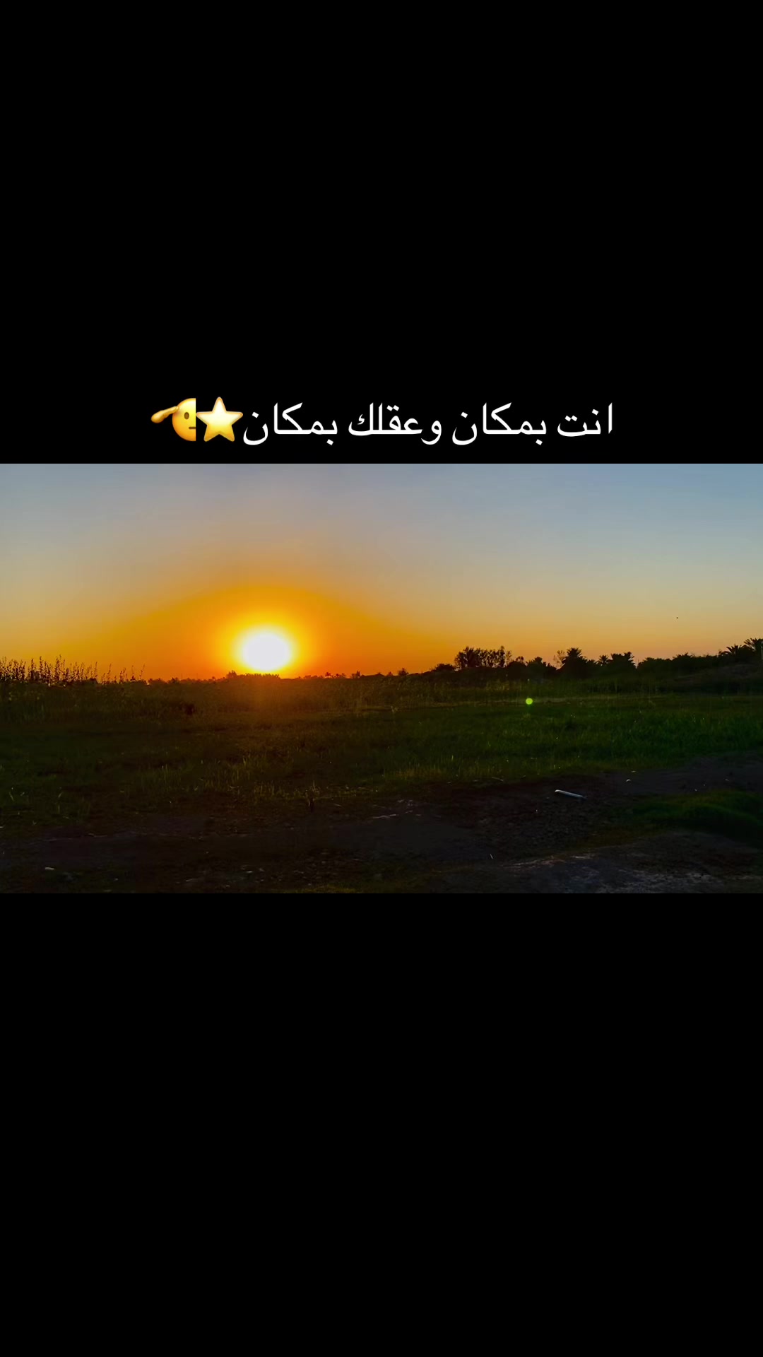 @﮼ذوالفقار ﮼حميد