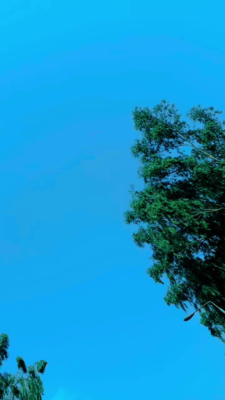 @♛✘»☛ŖÄȞ𝐌ÄŅ☚«✘♛