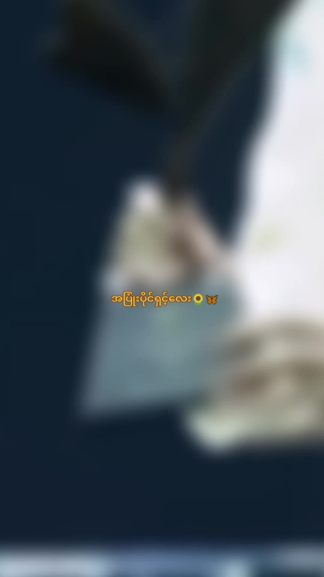 @F🌻 F🌷Y🦋 fan