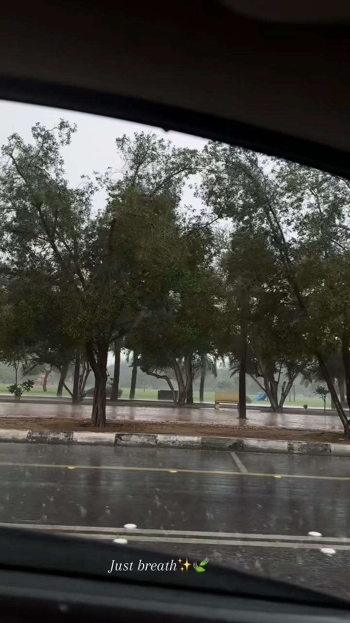 @أفنان.،🌿