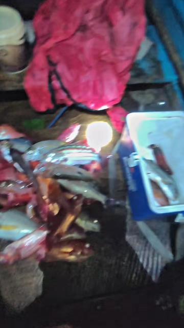 @FaridSigar🎣