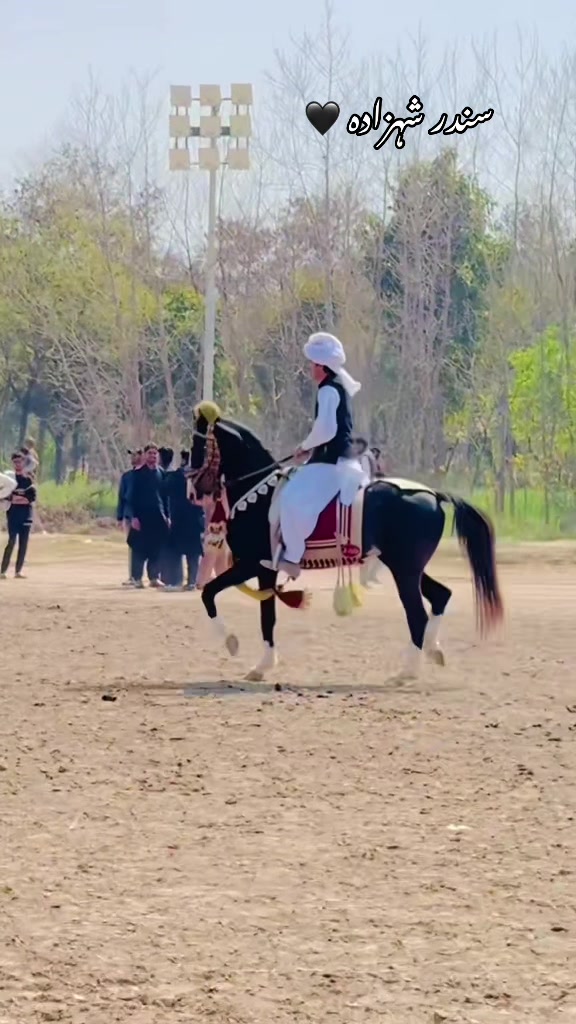 @⚜️اسد راجپوت279فیصل آباد آلہ⚜️