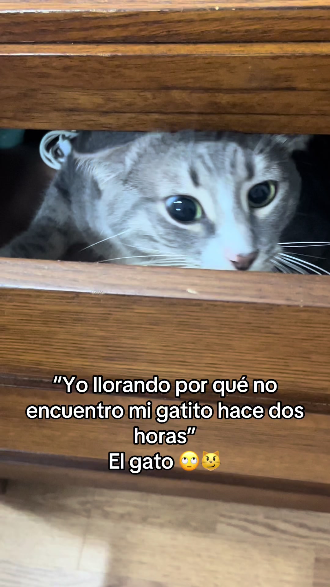 @michimatiass