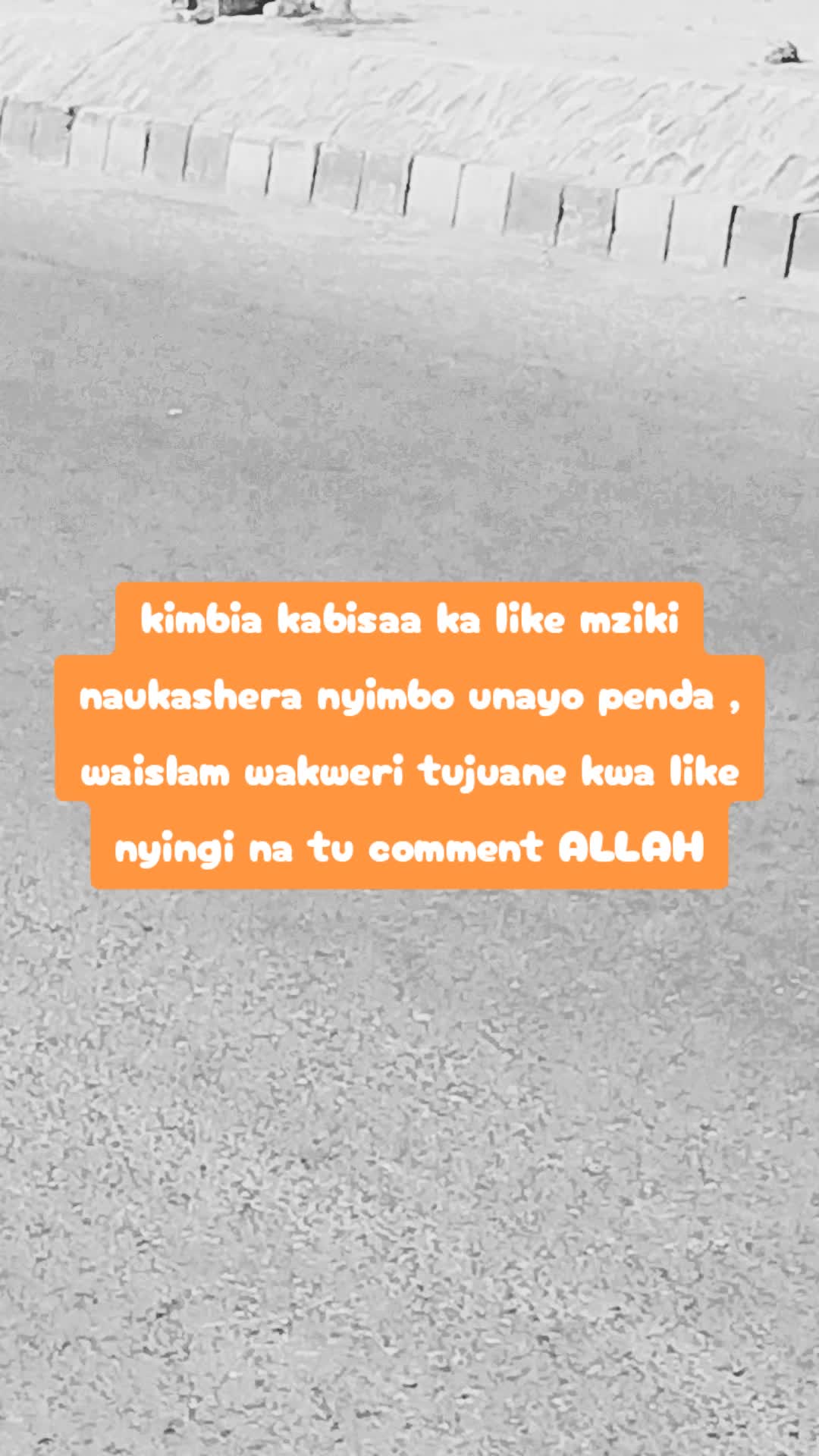 @SINOG jr