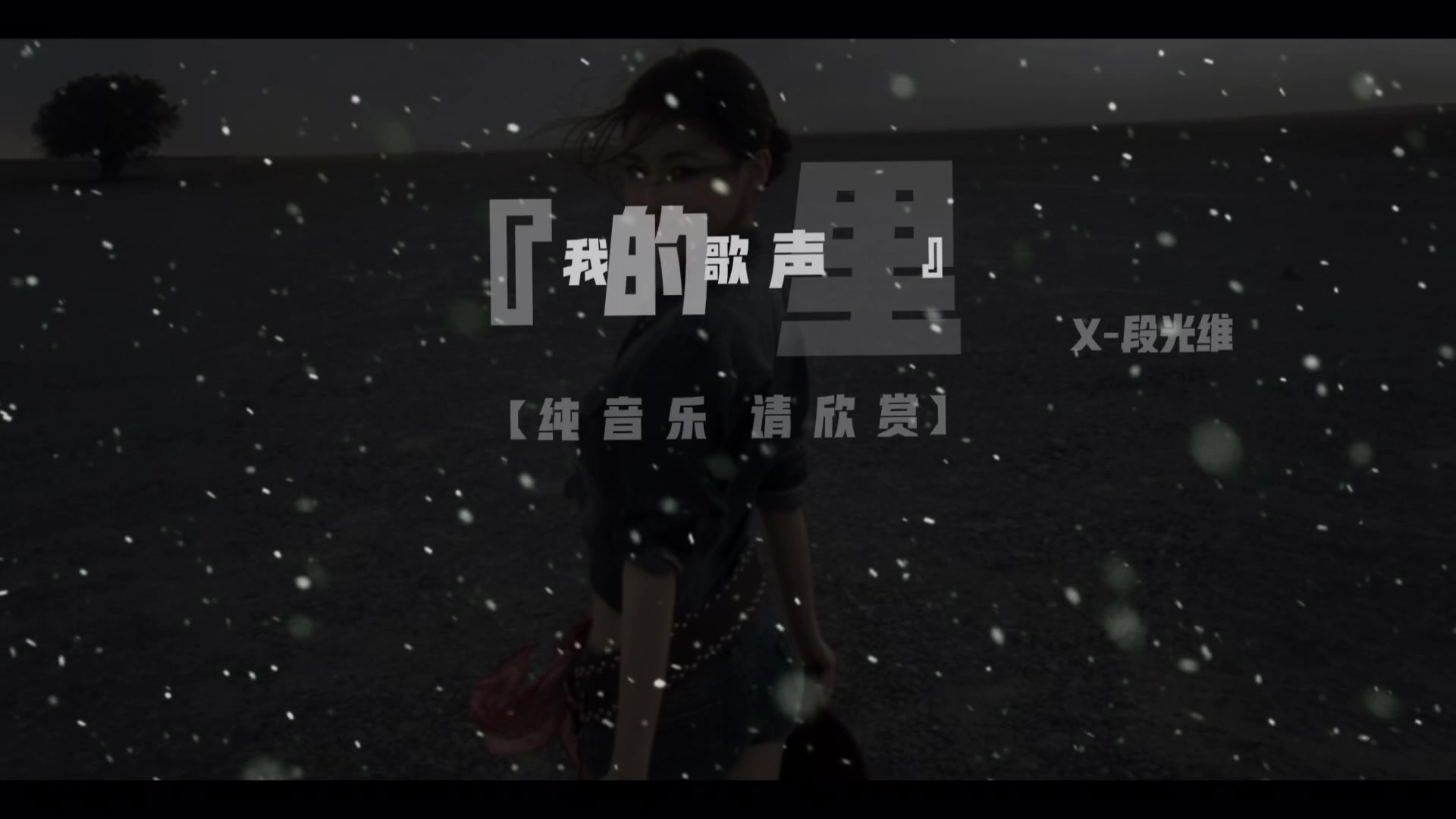 @段光维