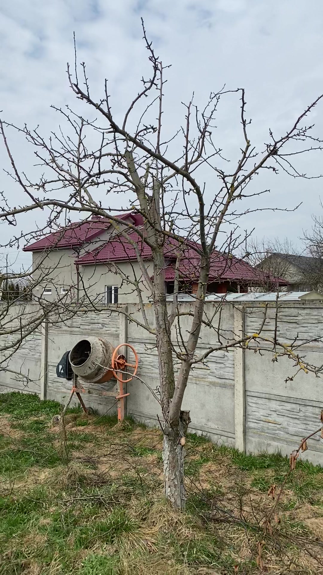 @сад🍏🍒🍇