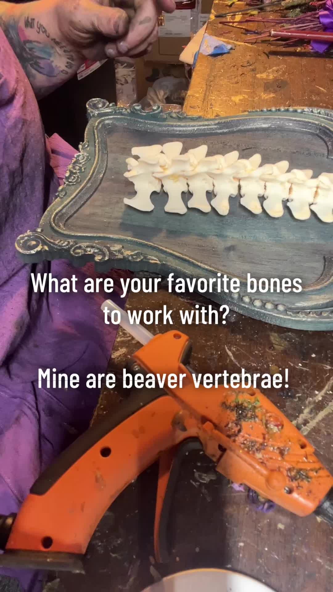 @FairyBoneFeathers