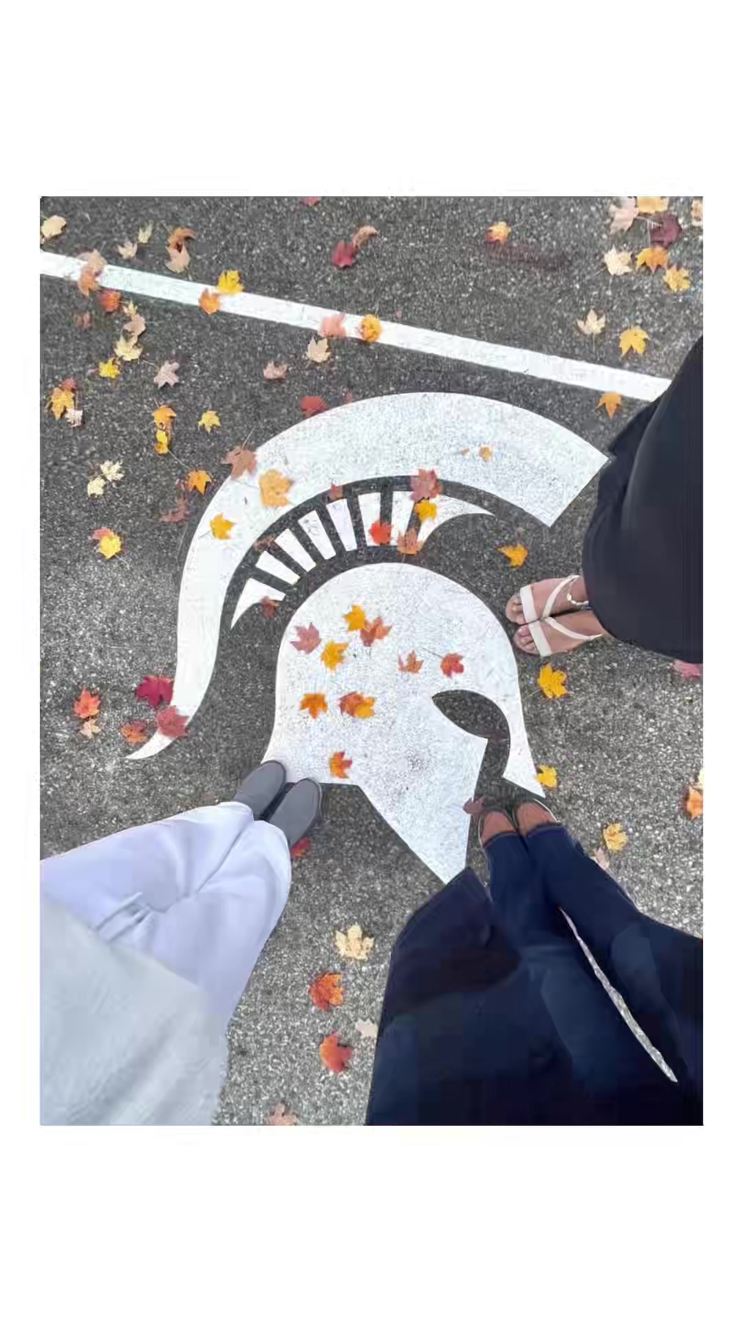 @˚˖𓍢ִ໋❀
