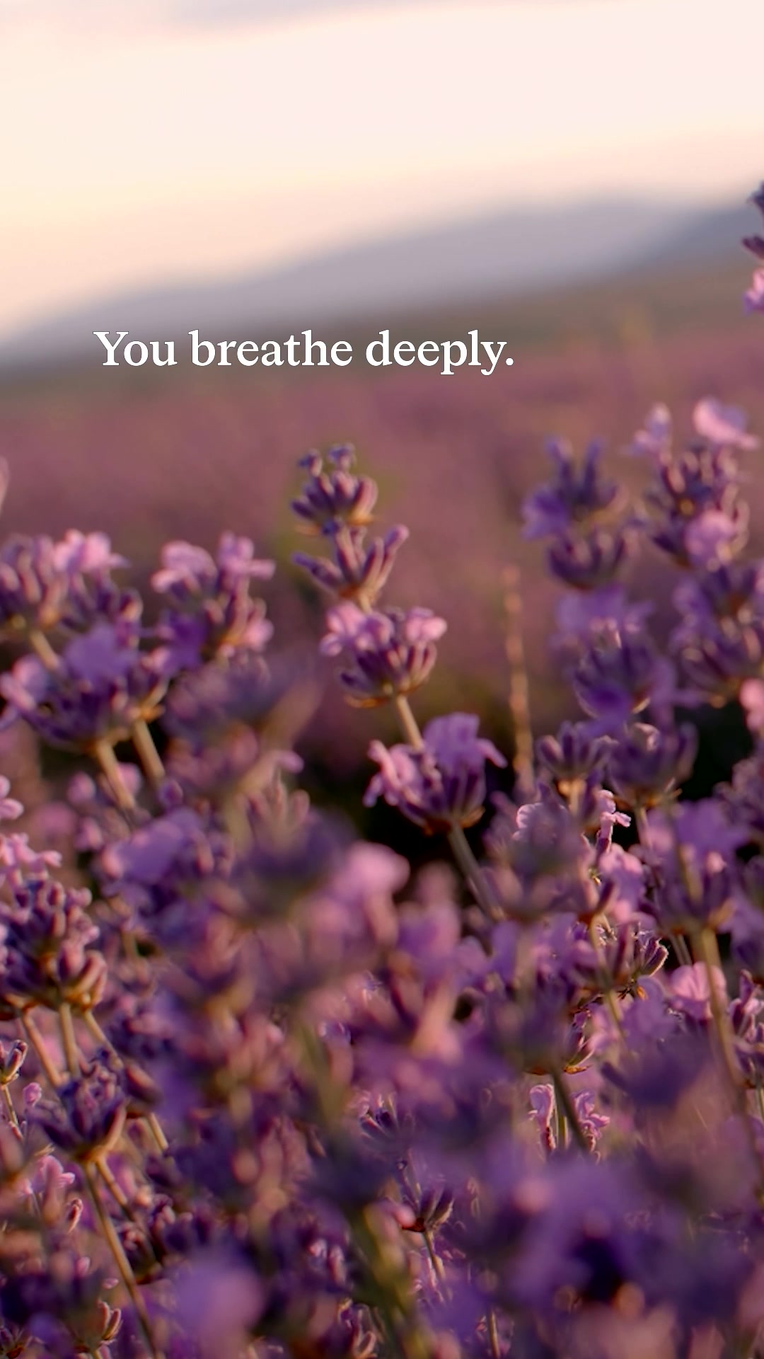 @Calm