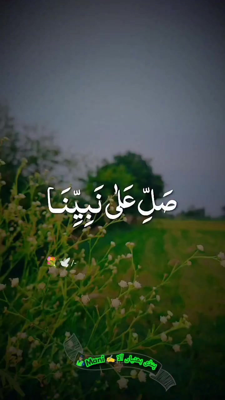 @جانی خان فخر سمندری۔533💀🔥✌❤