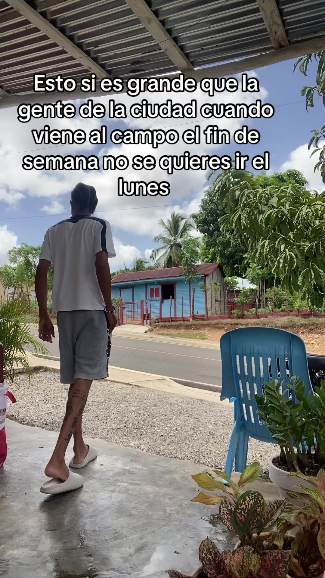@carlitord240499