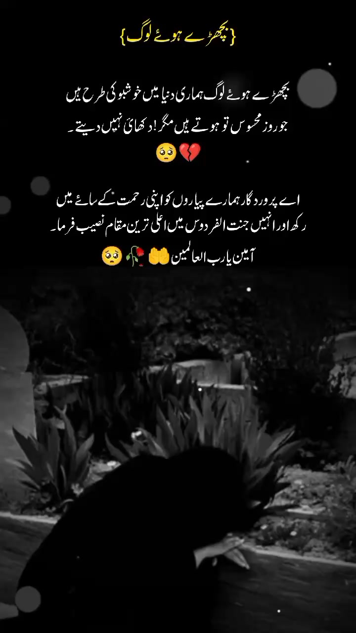@🇦 🇼 🇦 🇳  🇿 🇦 🇩 🇮 ❤️✨