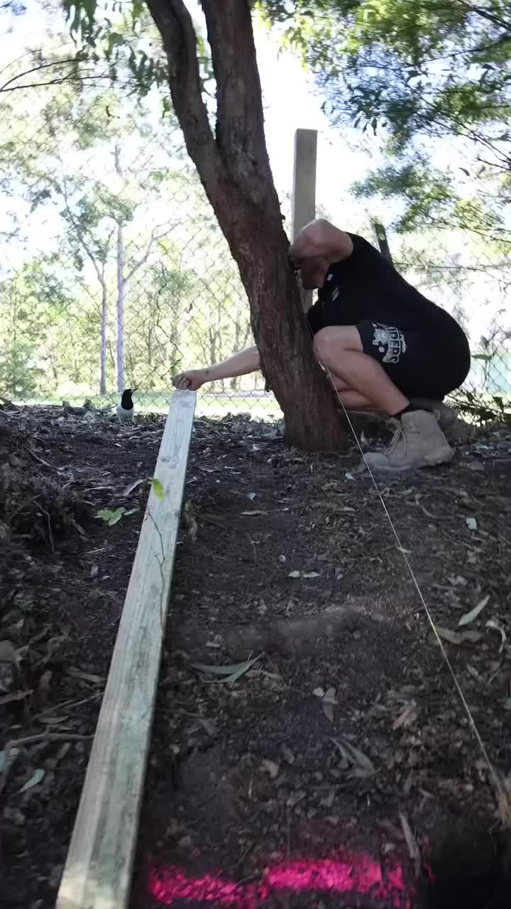 @Tommy 247