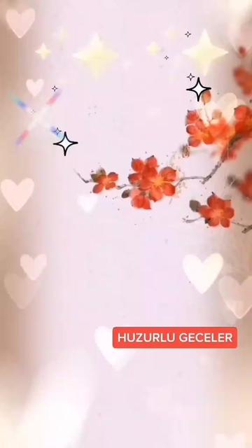 @🌹MÜHÜR GÖZLÜ🌹