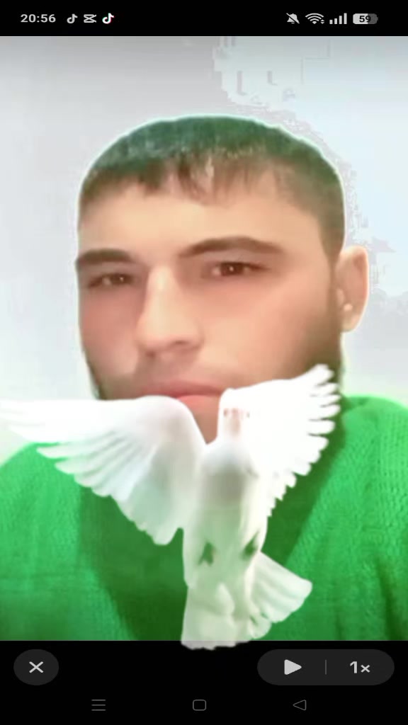 @Hffg Hvfgh