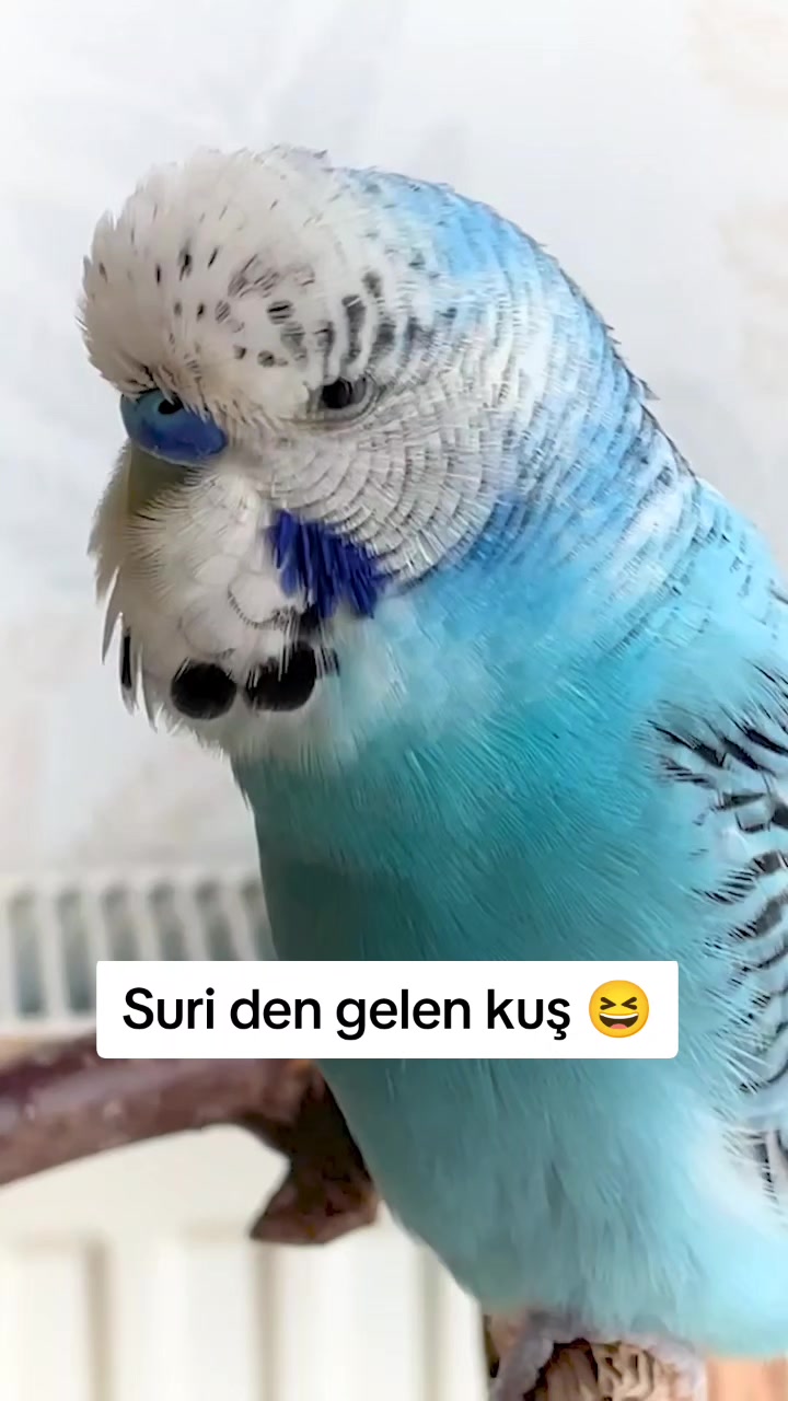 @nuri.35
