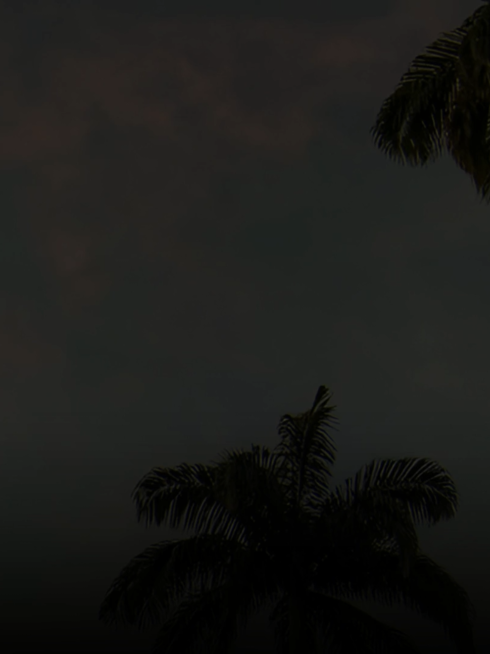 @𝐌𝐮𝐬𝐢𝐜𝐖𝐃
