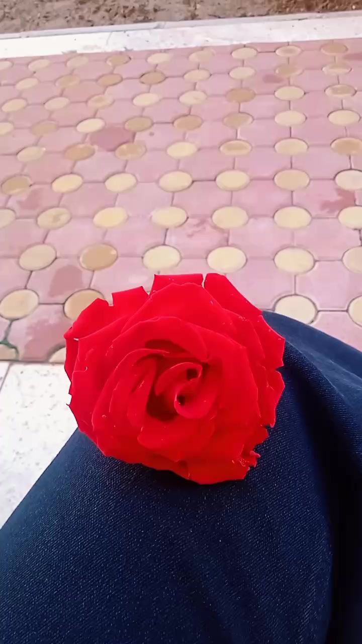 @˚₊· ͟͟͞͞➳❥ₙᵤᵣCₐₙ˚₊· ͟͟͞͞➳❥
