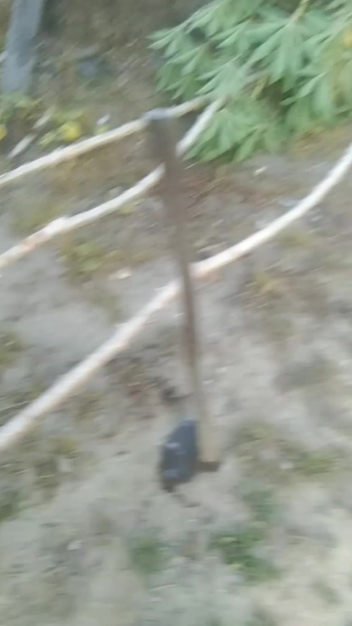 @arolll