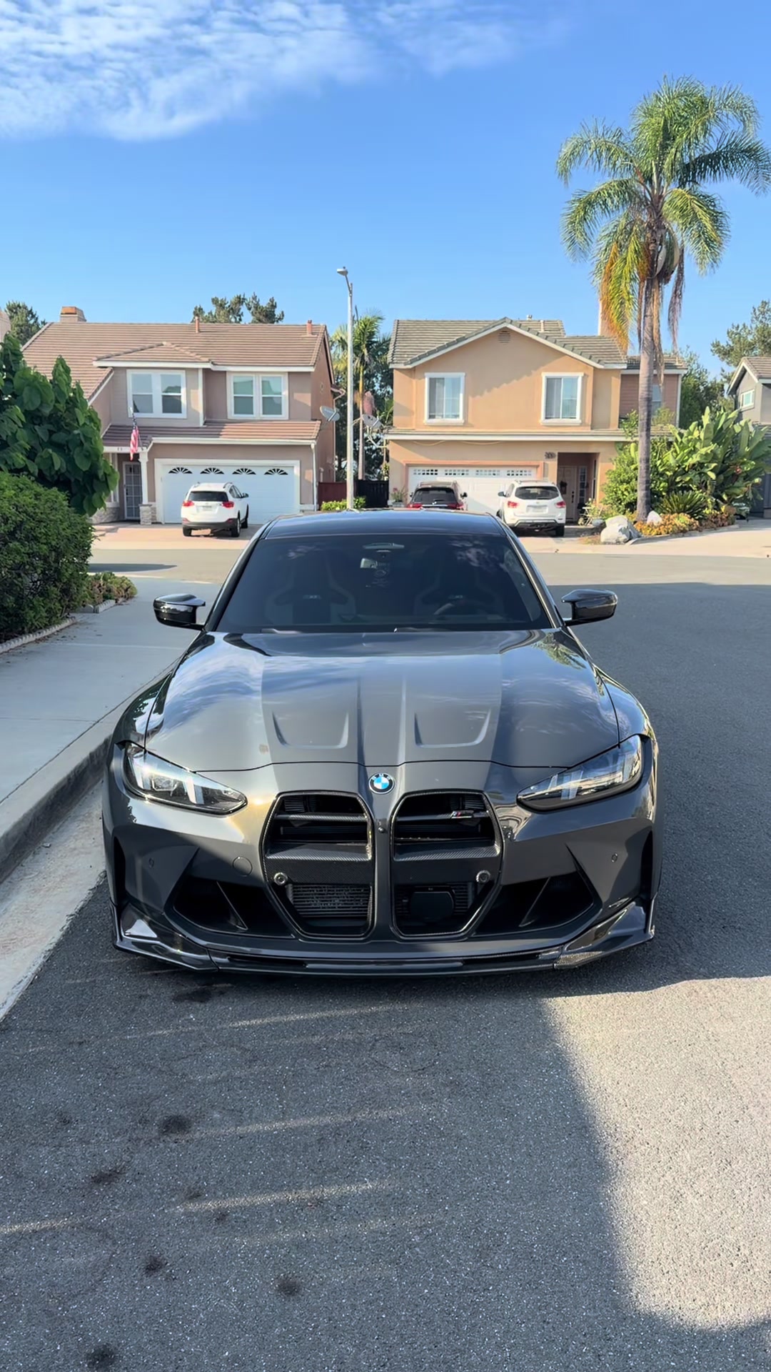 @sheeshg8x