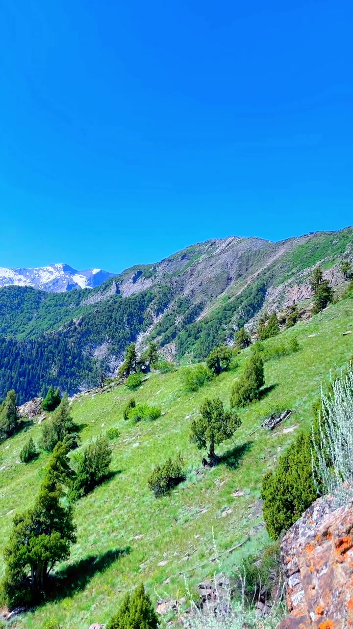 @Discover North Pakistan