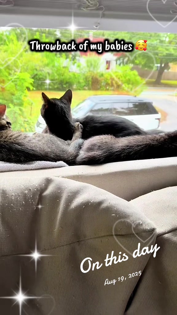 @TailsandWhiskersCo