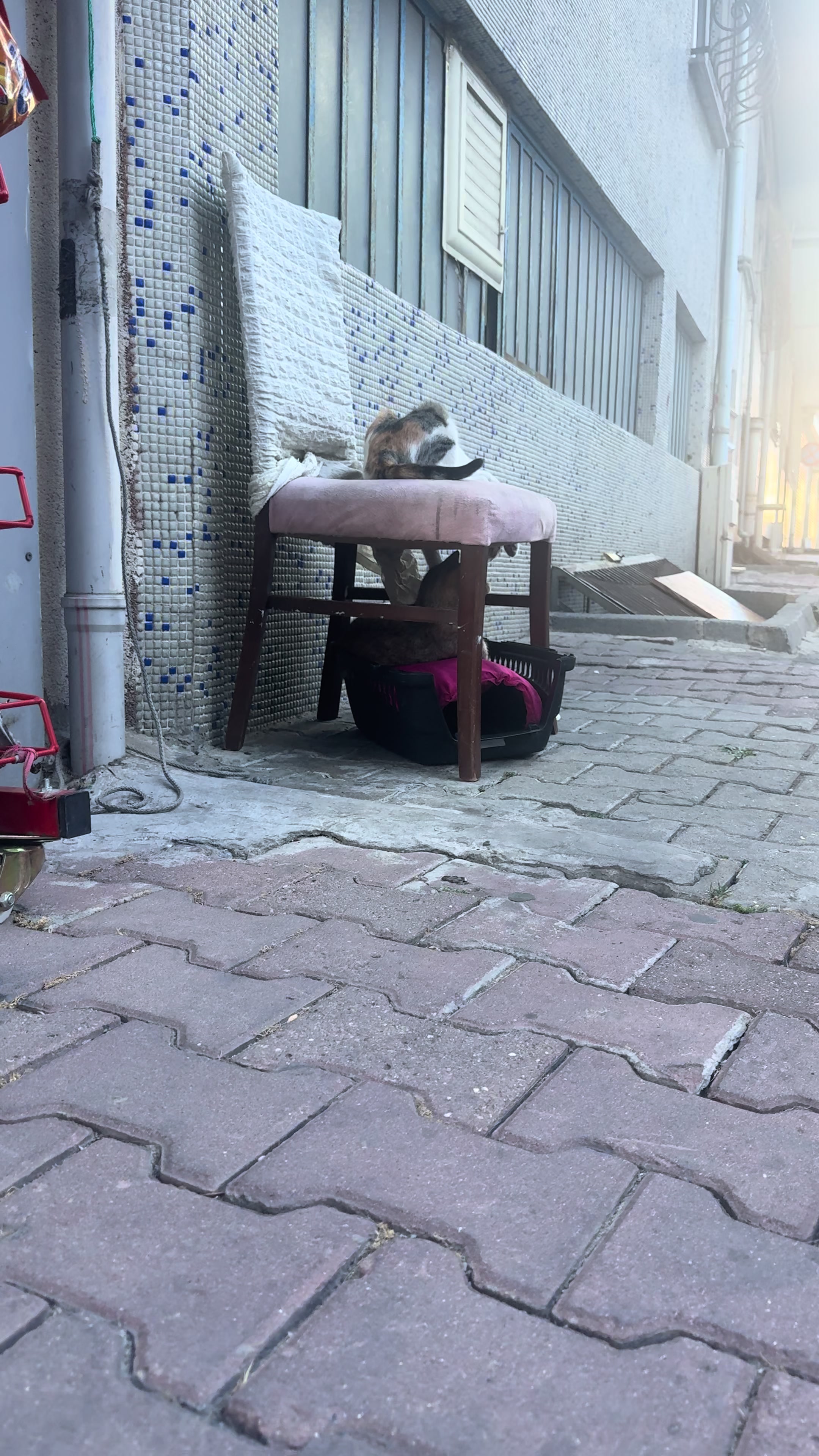@Emine Yılmaz