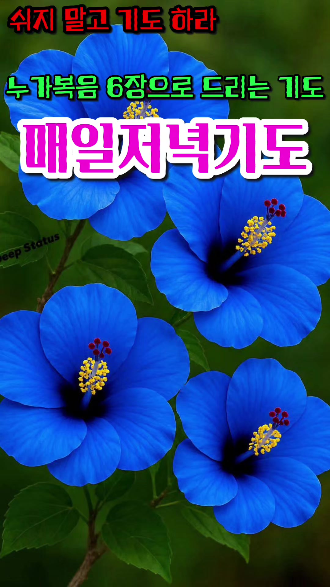 @피켓전도 김종일 목사