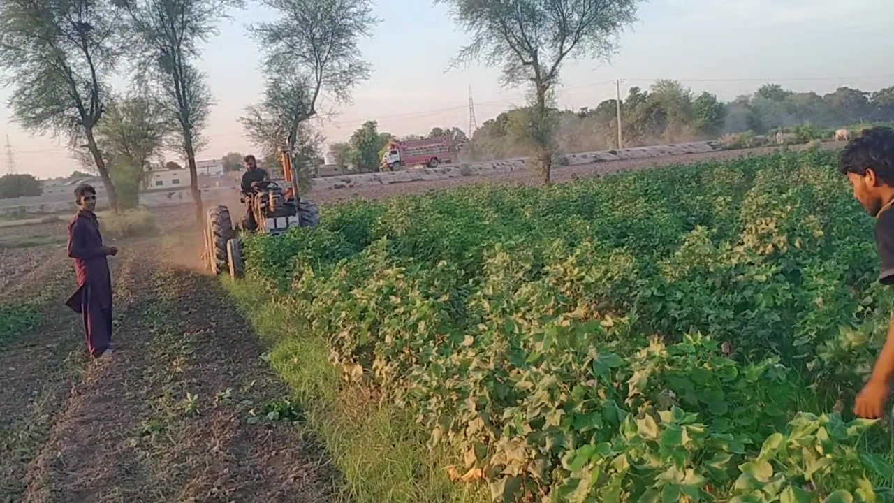 @Mshahid 786