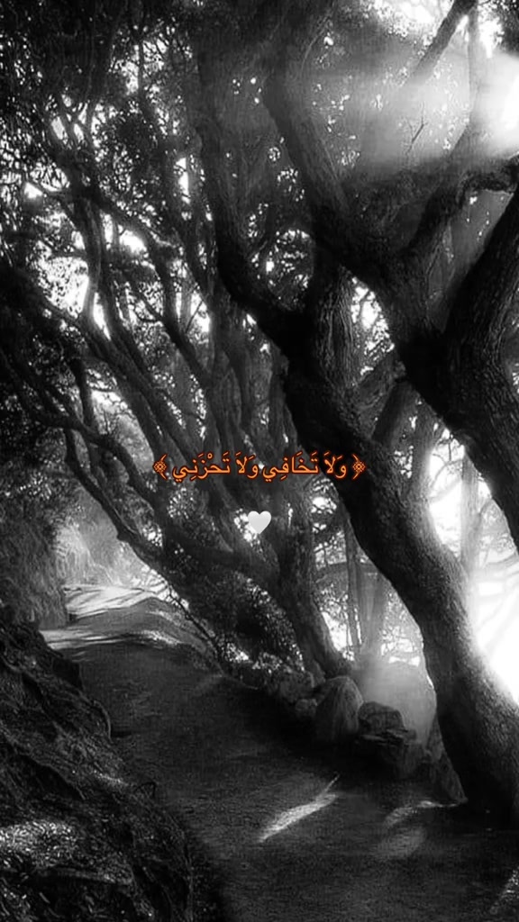 @🌸وصہٰيٰه الہٰرسہٰولہٰ🌸